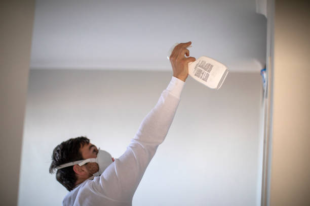 Best Crawl Space Mold Removal  in Webb City, MO